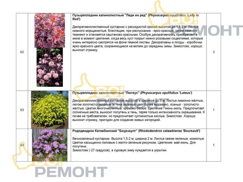 Проект благоустройства территории-102